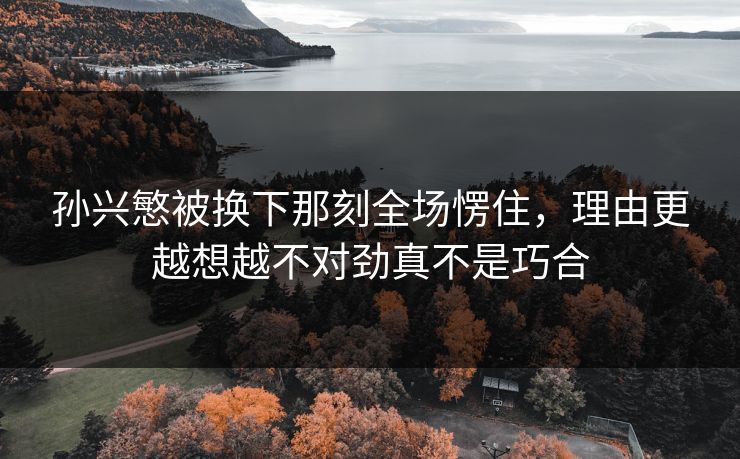 孙兴慜被换下那刻全场愣住，理由更越想越不对劲真不是巧合
