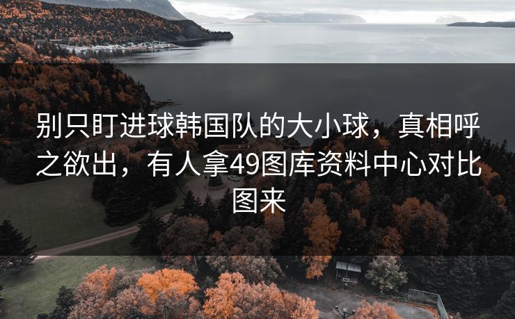 别只盯进球韩国队的大小球,真相呼之欲出,有人拿49图库资料中心对比图来 别只盯进球韩国队的大小球,真相呼之欲出,有人拿49图库资料中心对比图来