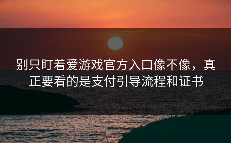别只盯着爱游戏官方入口像不像，真正要看的是支付引导流程和证书